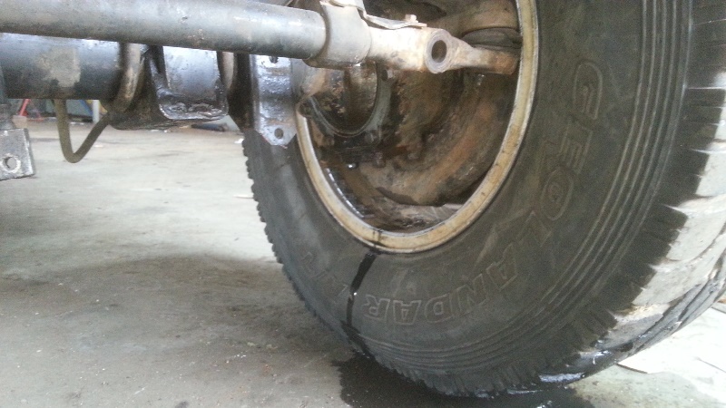 20141218_091708.jpg