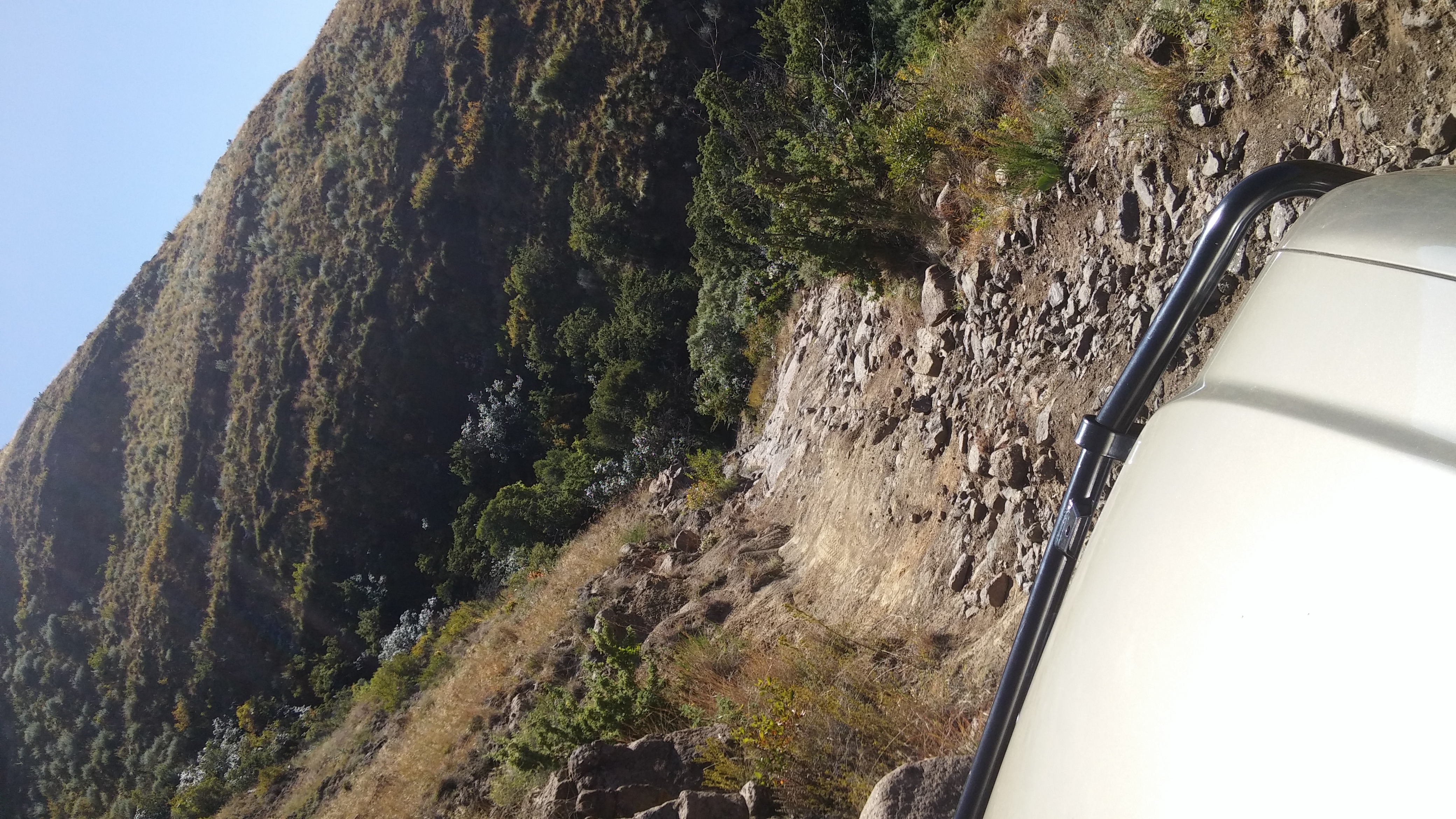 20150501_124930.jpg