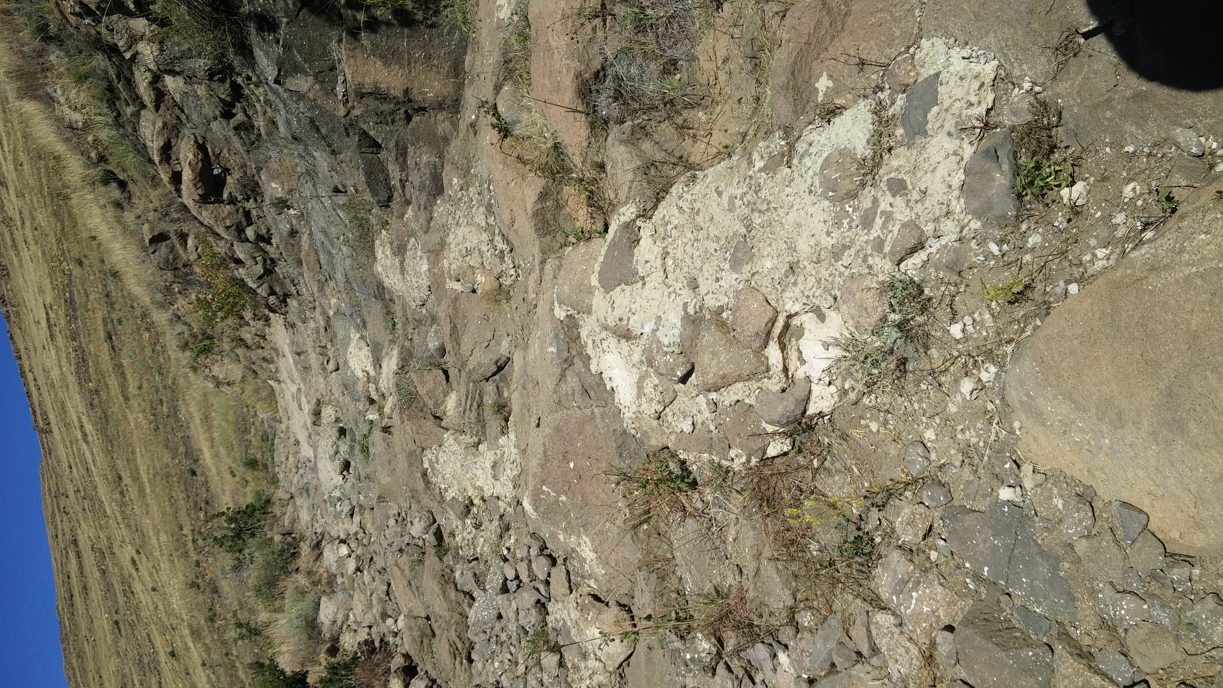 20150501_125128.jpg