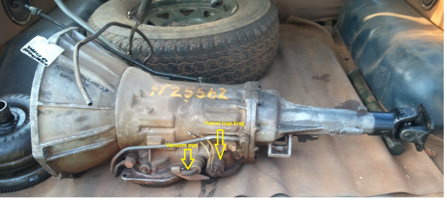 Ratkas2A1.jpg