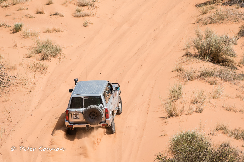 ChallengeDuneODP-8.jpg