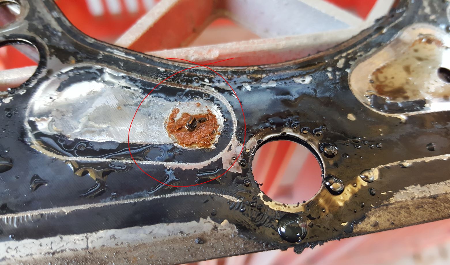 Head Gasket 2.JPG