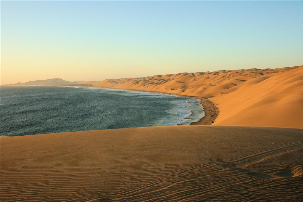 Pieter_200 (Large).jpg