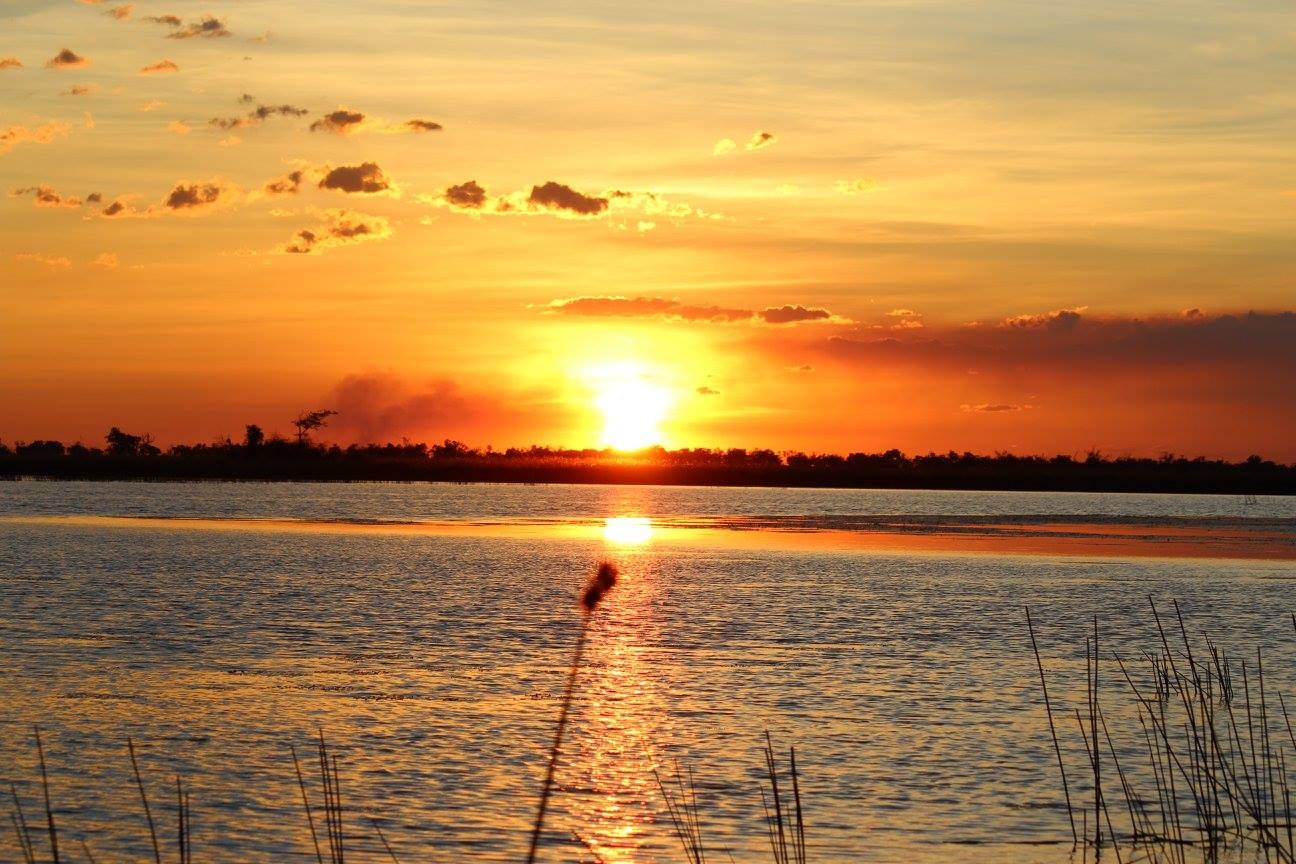 Okavango Delta