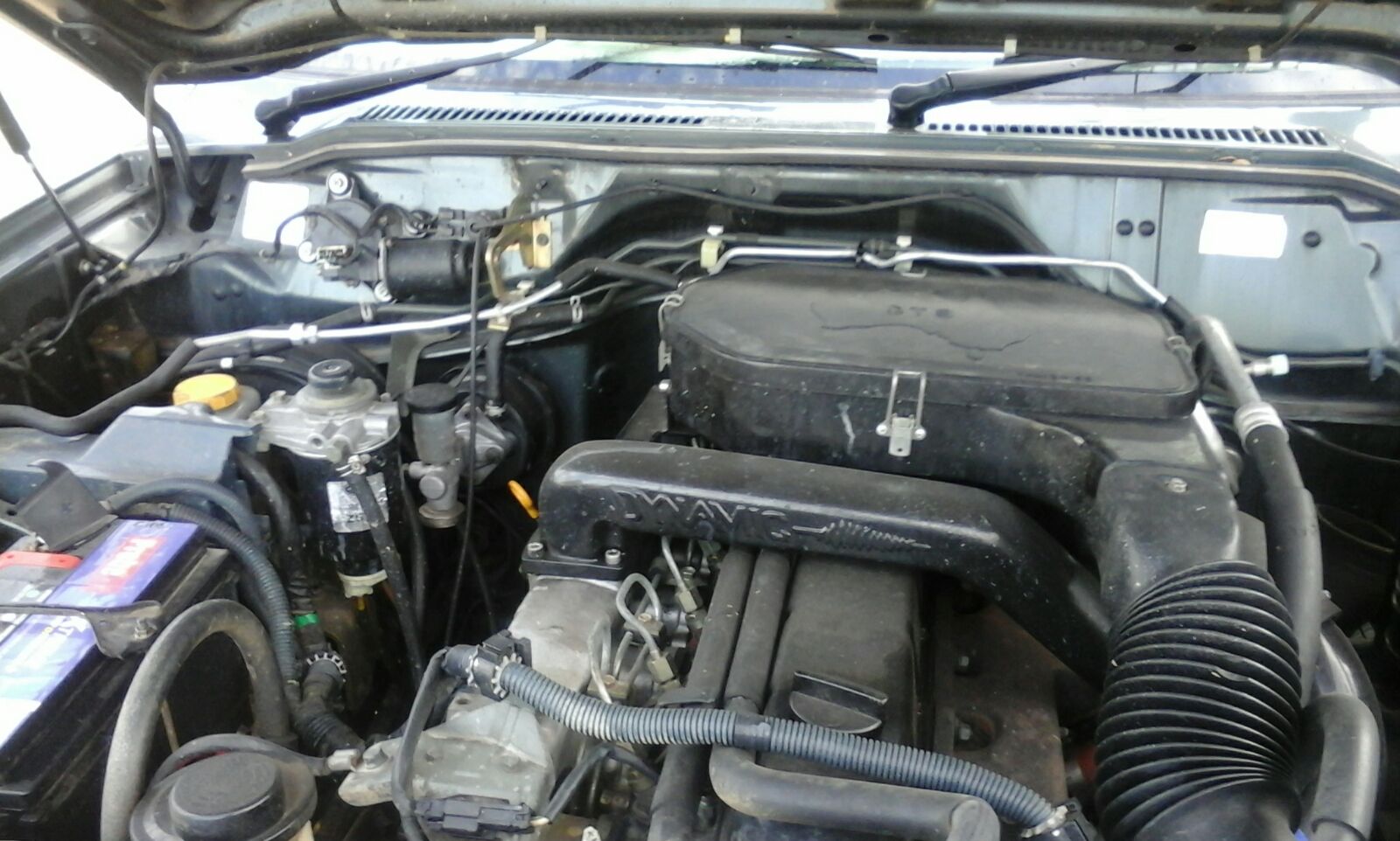 photo 5.JPG