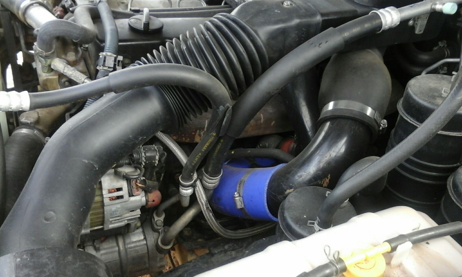 photo  1.JPG