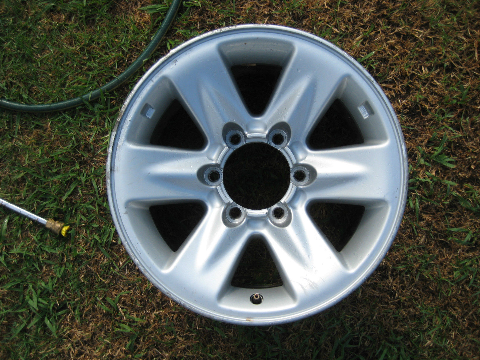 rim.JPG