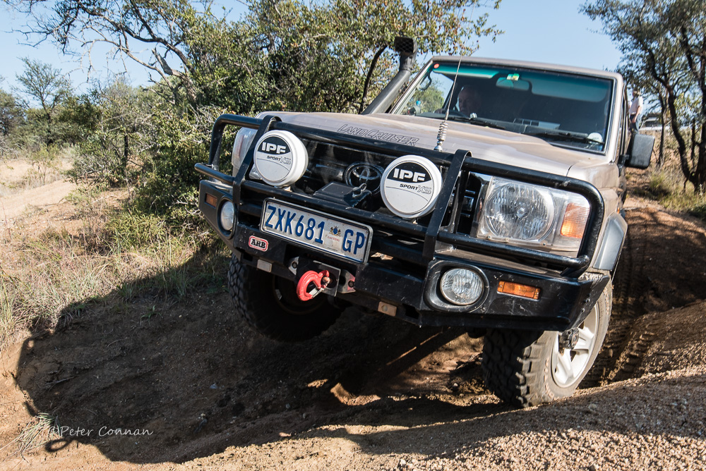 Moegatle1ODP-8.jpg