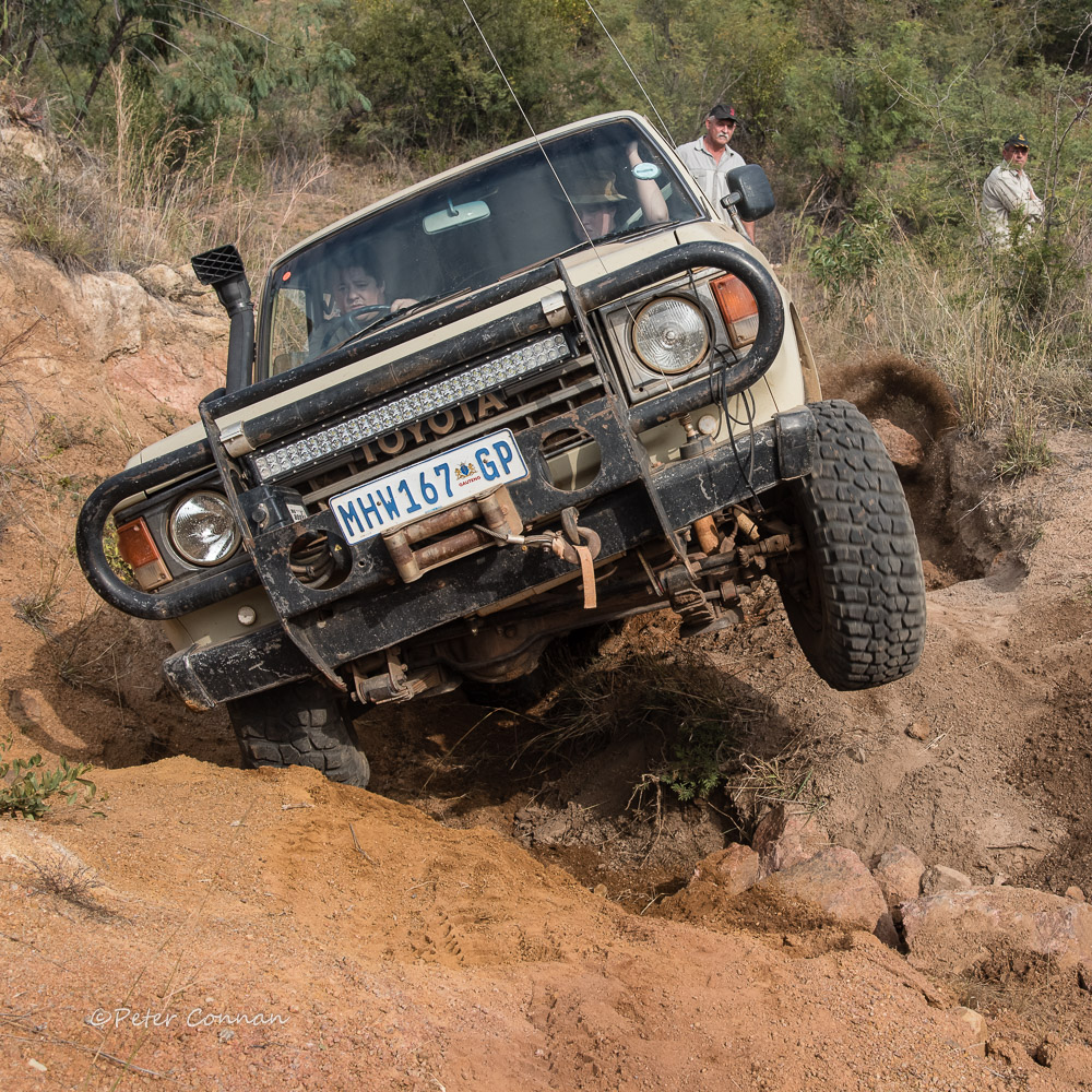 Moegatle1ODP-38.jpg