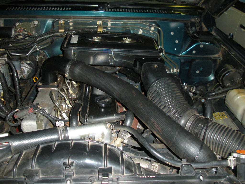 DSCN1390.jpg