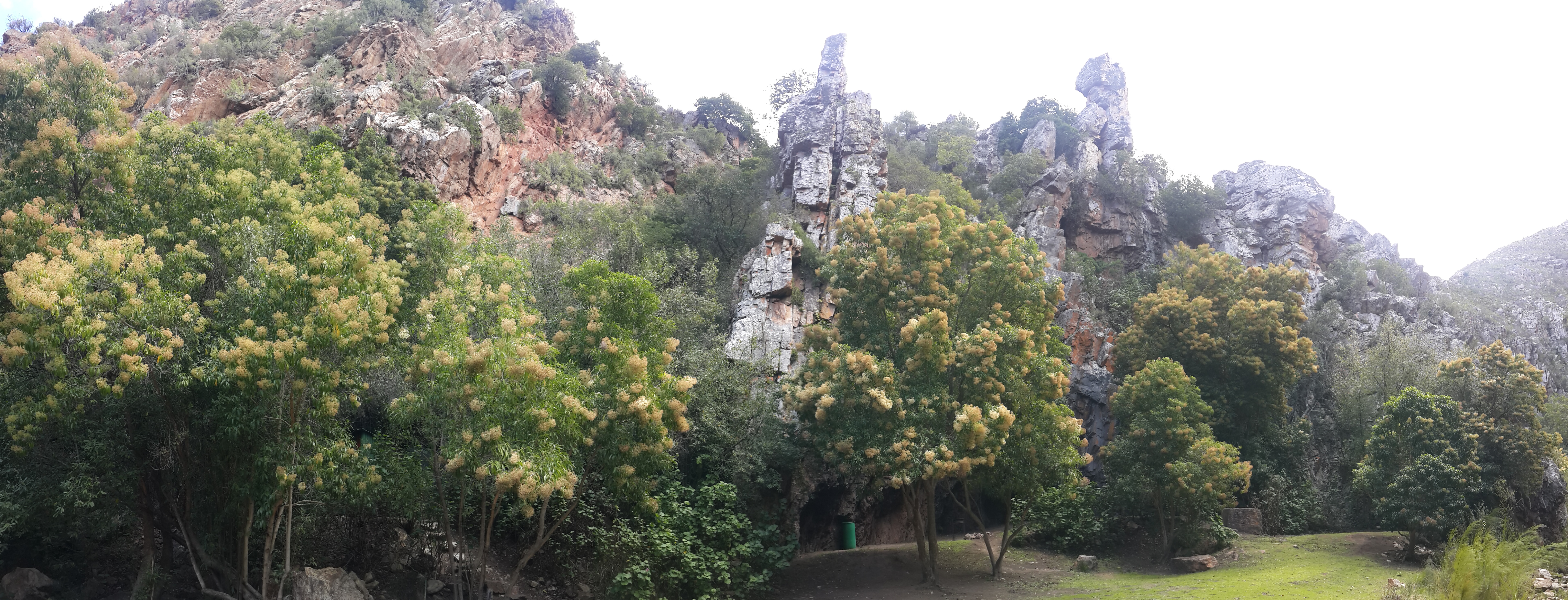 20160813_113342.jpg