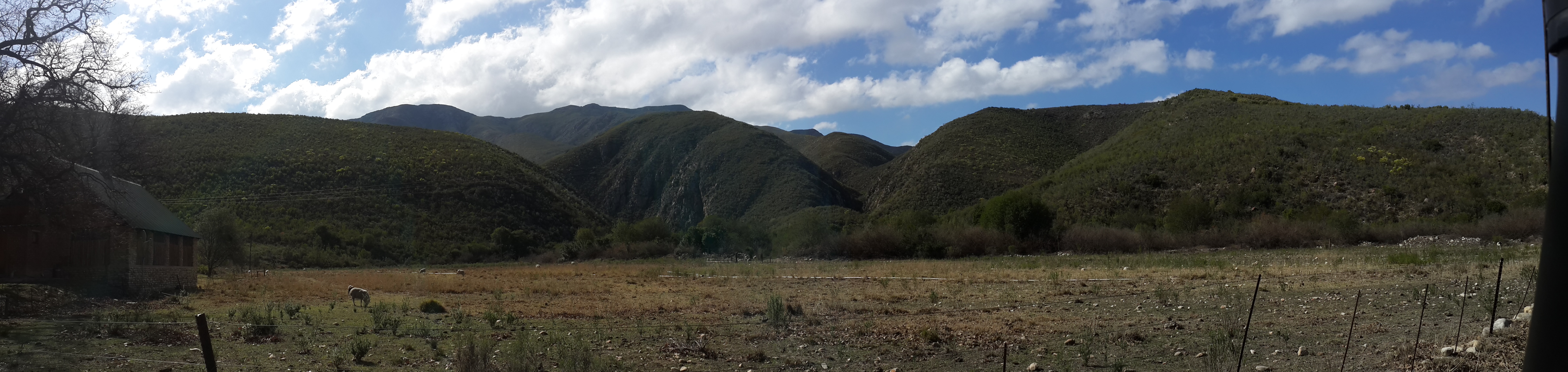 20160813_130137.jpg