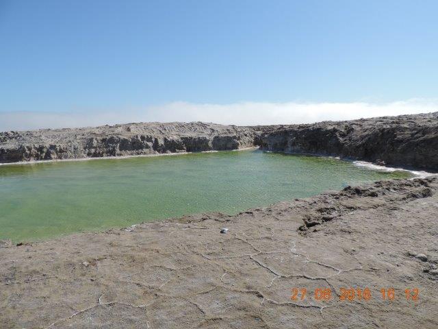 DSCN6128.jpg