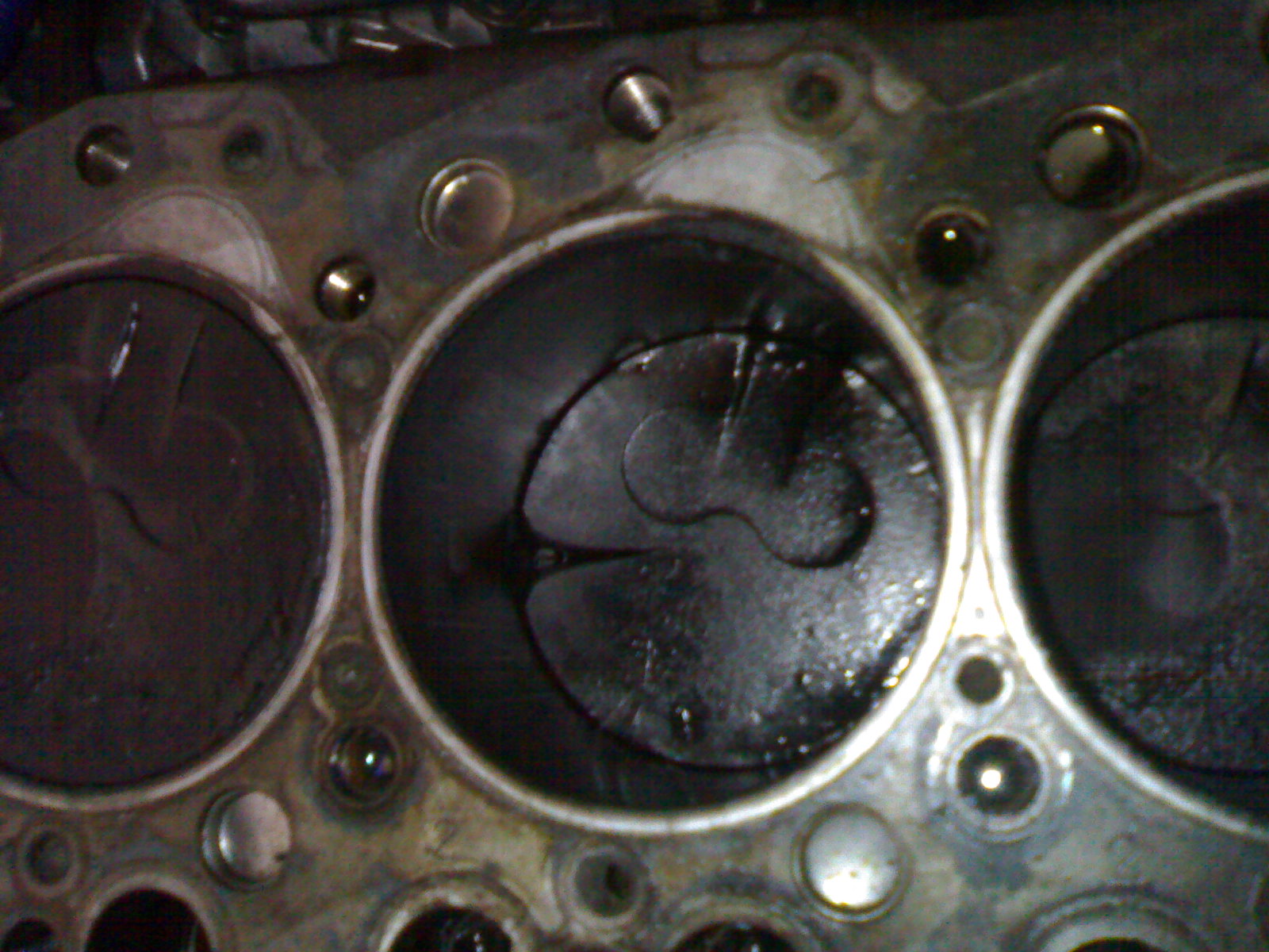 08082010664.jpg