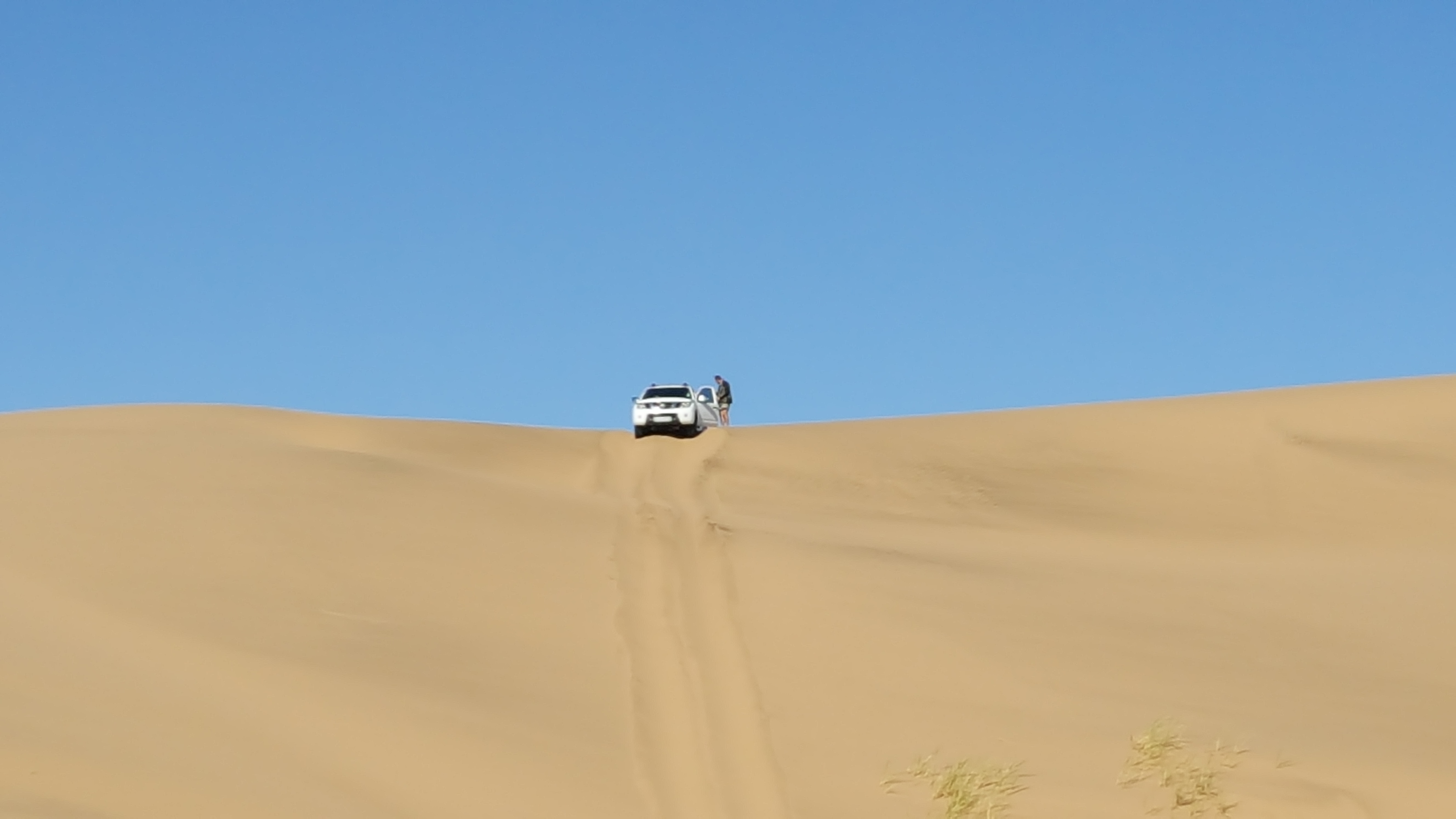 Navara stuck