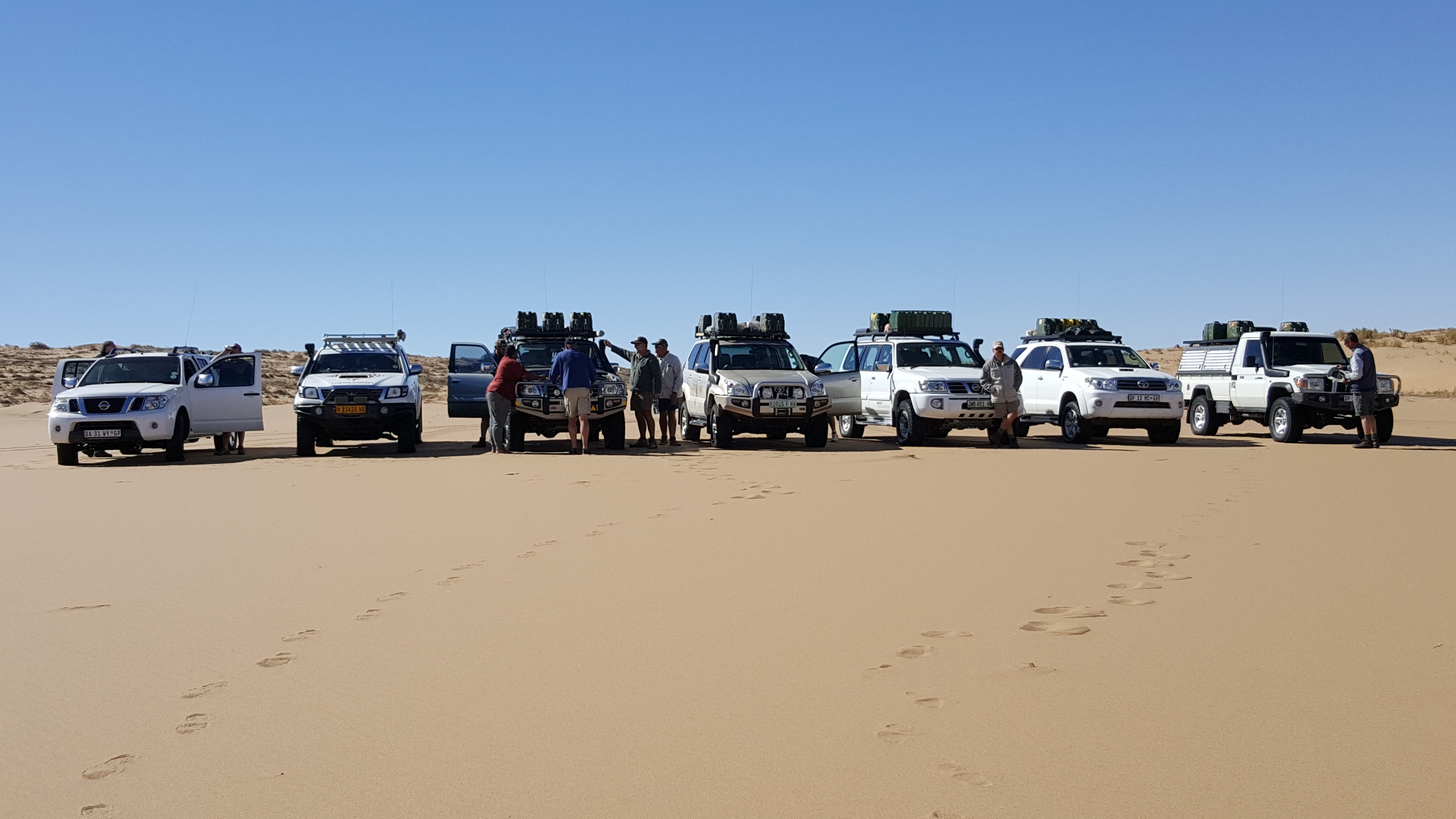 In the desert