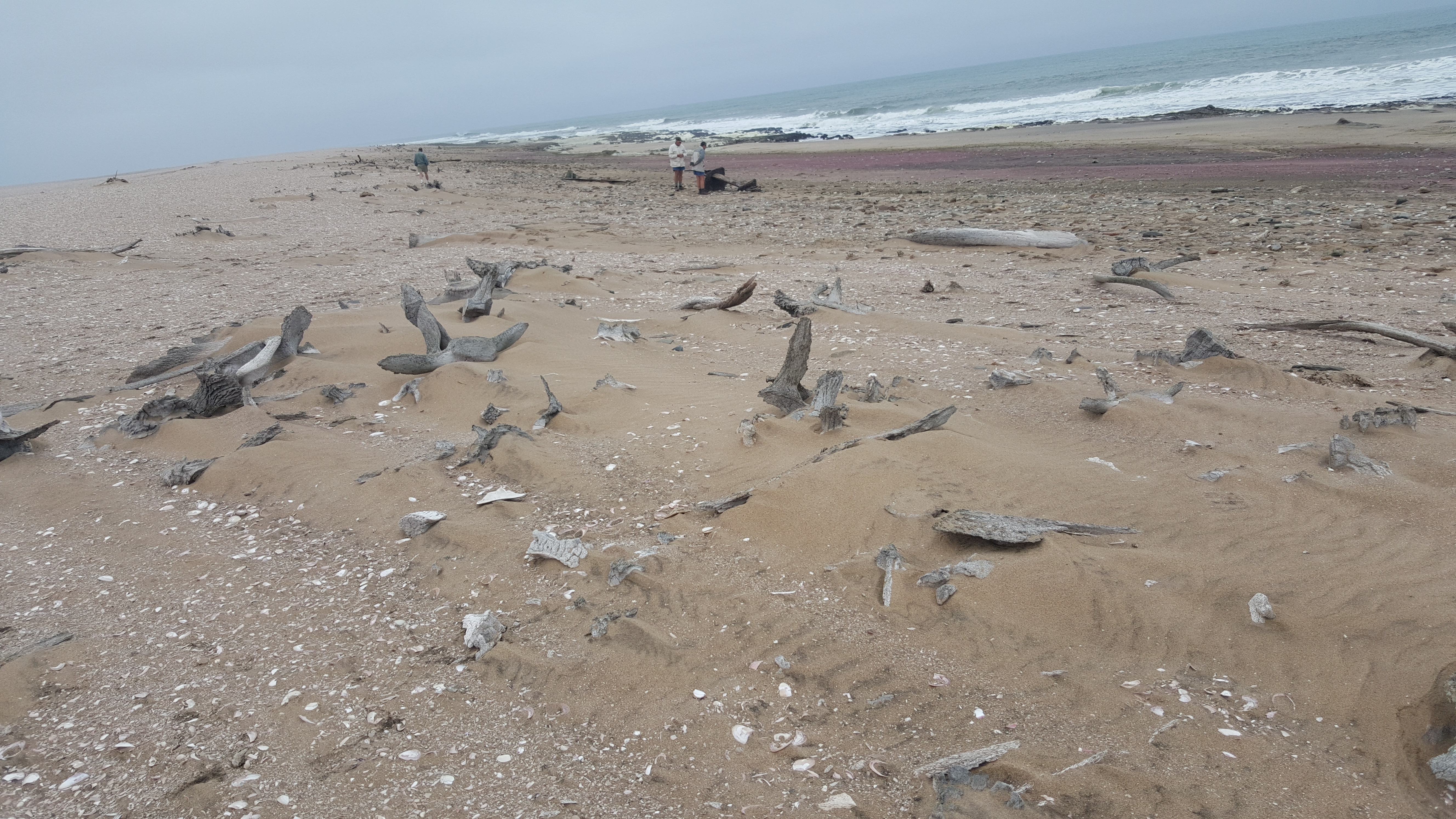 We passed the whale graveyard - about 300 meters of beach covered in whale bones - slaughtered off-shore about a 100 years ago