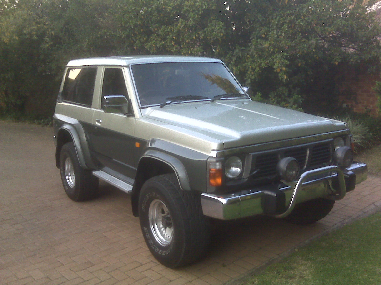 IMG00303.jpg