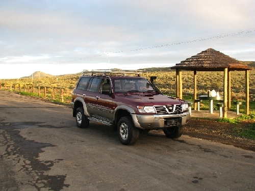 OsRooi inni Karoo.jpg