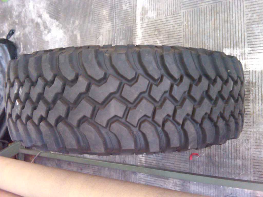 IMG00140-20100908-0915.jpg