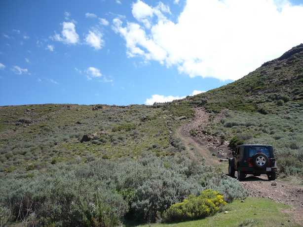 the new Prado had to take a detour