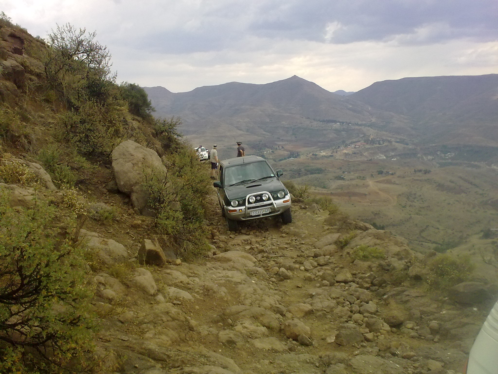 Terrano