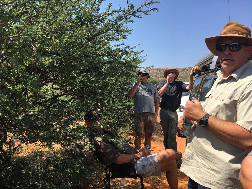 Ons kruip weg vir die son
