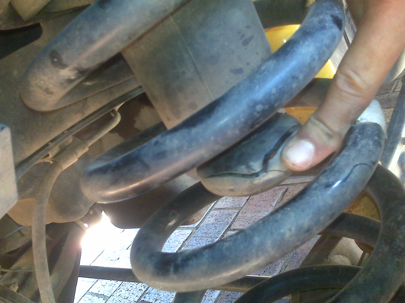 IMG00133.jpg