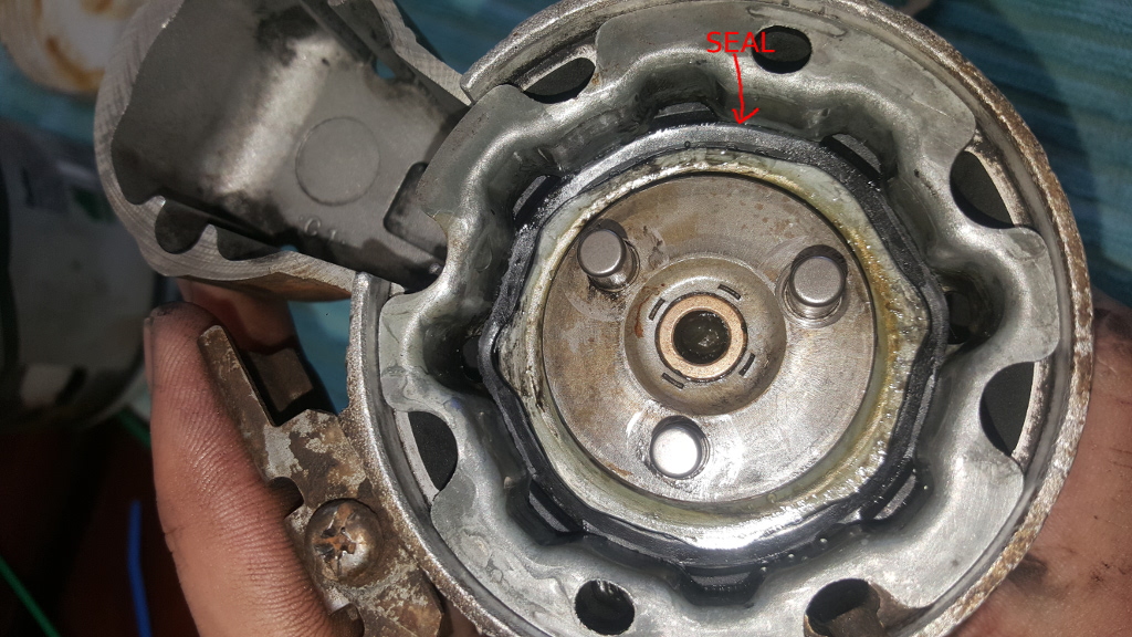 STARTER-4.jpg
