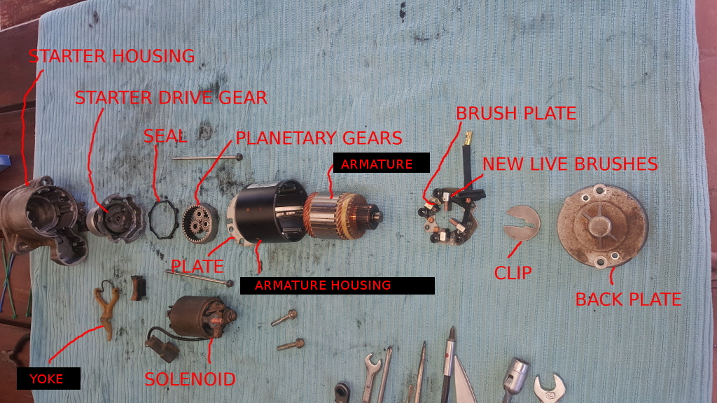 STARTER-1.jpg