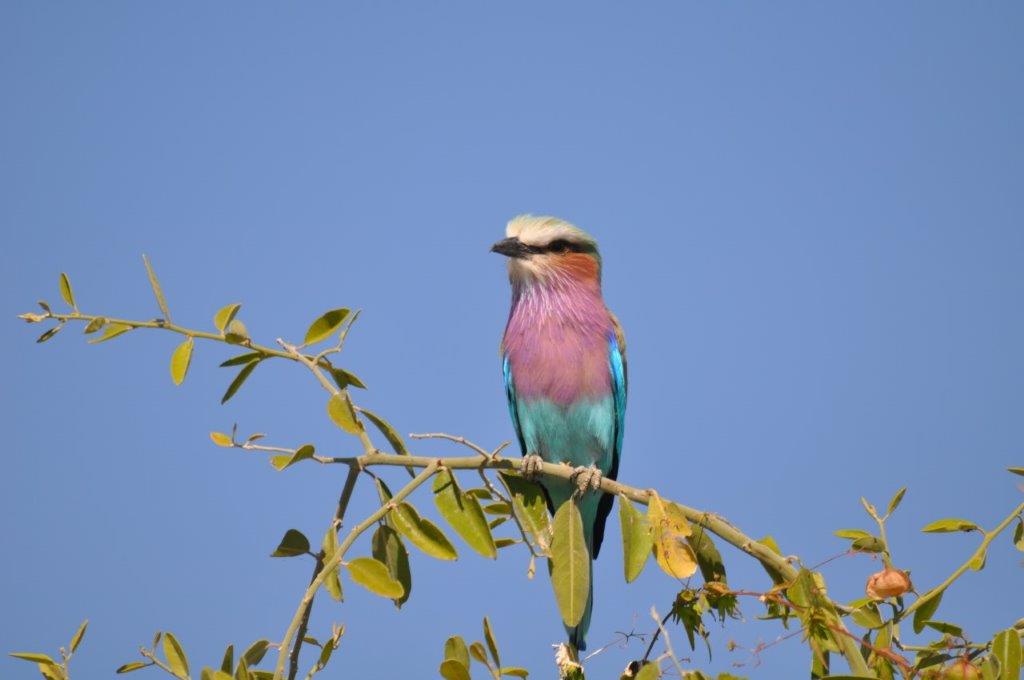 DSC_6608.jpg