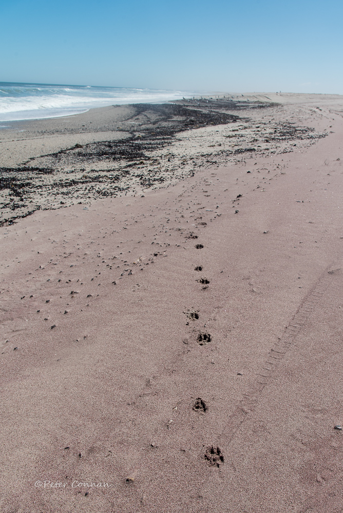 Op pad strand toe