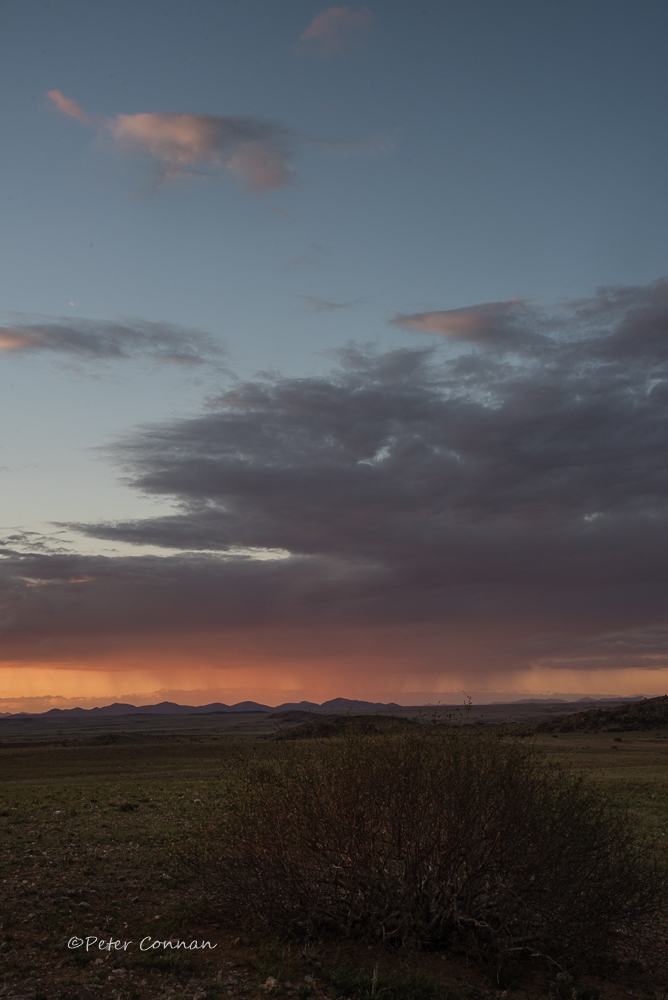 Rain in the desert (Yawn)