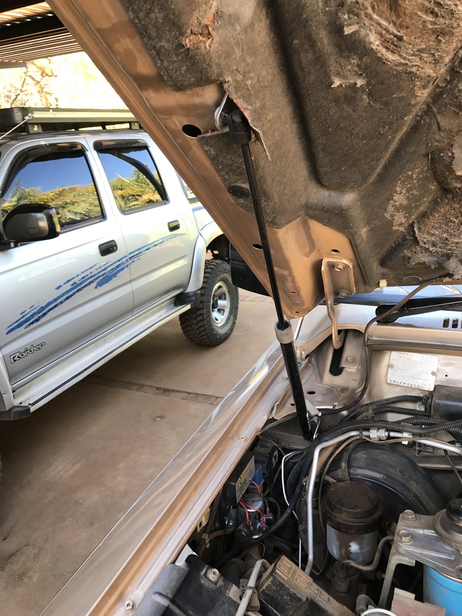 Gas Struts