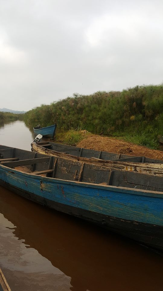 Boats in the swamp
