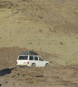 Lobo in Kaoko4.jpg