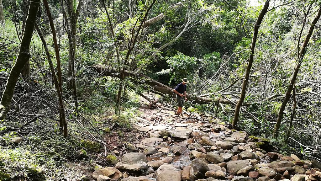 IMG_20180224_102054.jpg