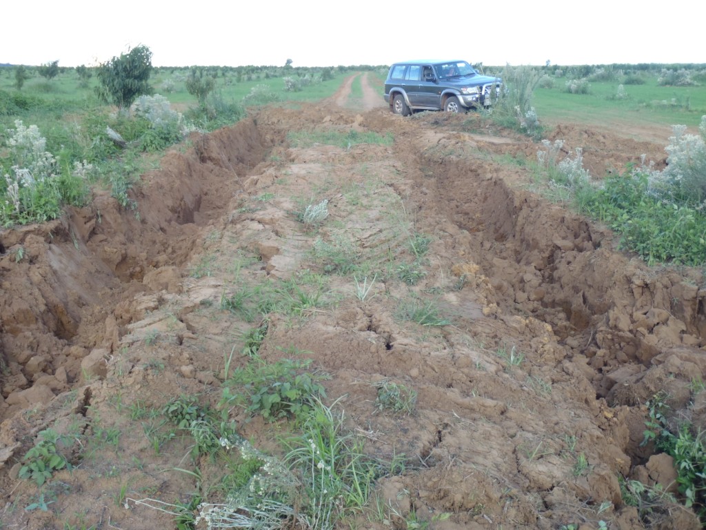 Look at the size of the excavator tracks