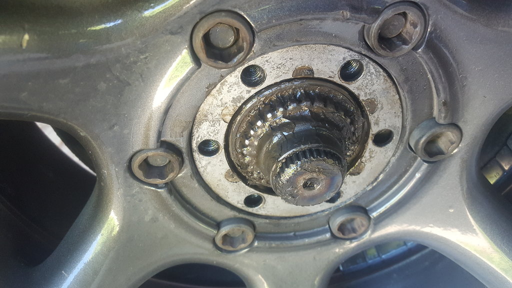 Safari free wheel hub