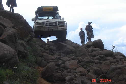 BulleBak Baboons1.jpg