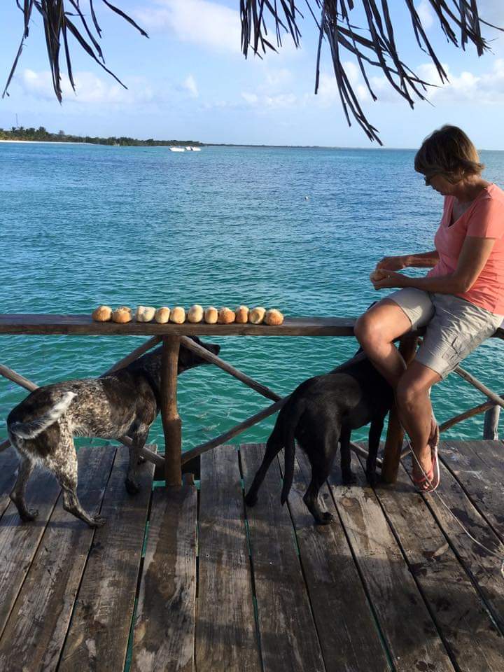 Jakkie and puppies feeding the fish