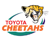 vodacomcheetahs.png