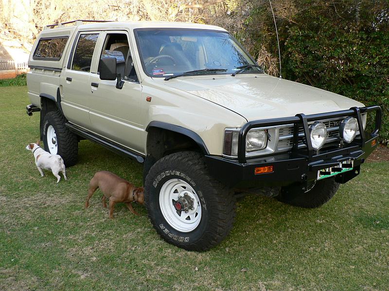 Bulldog
