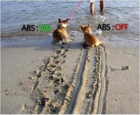 ABS Brakes.JPG