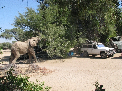 Puros Camping iii.jpg