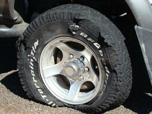 Brutus FLATTT.jpg