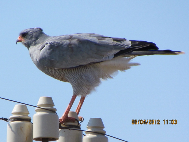 IMG_3355.jpg