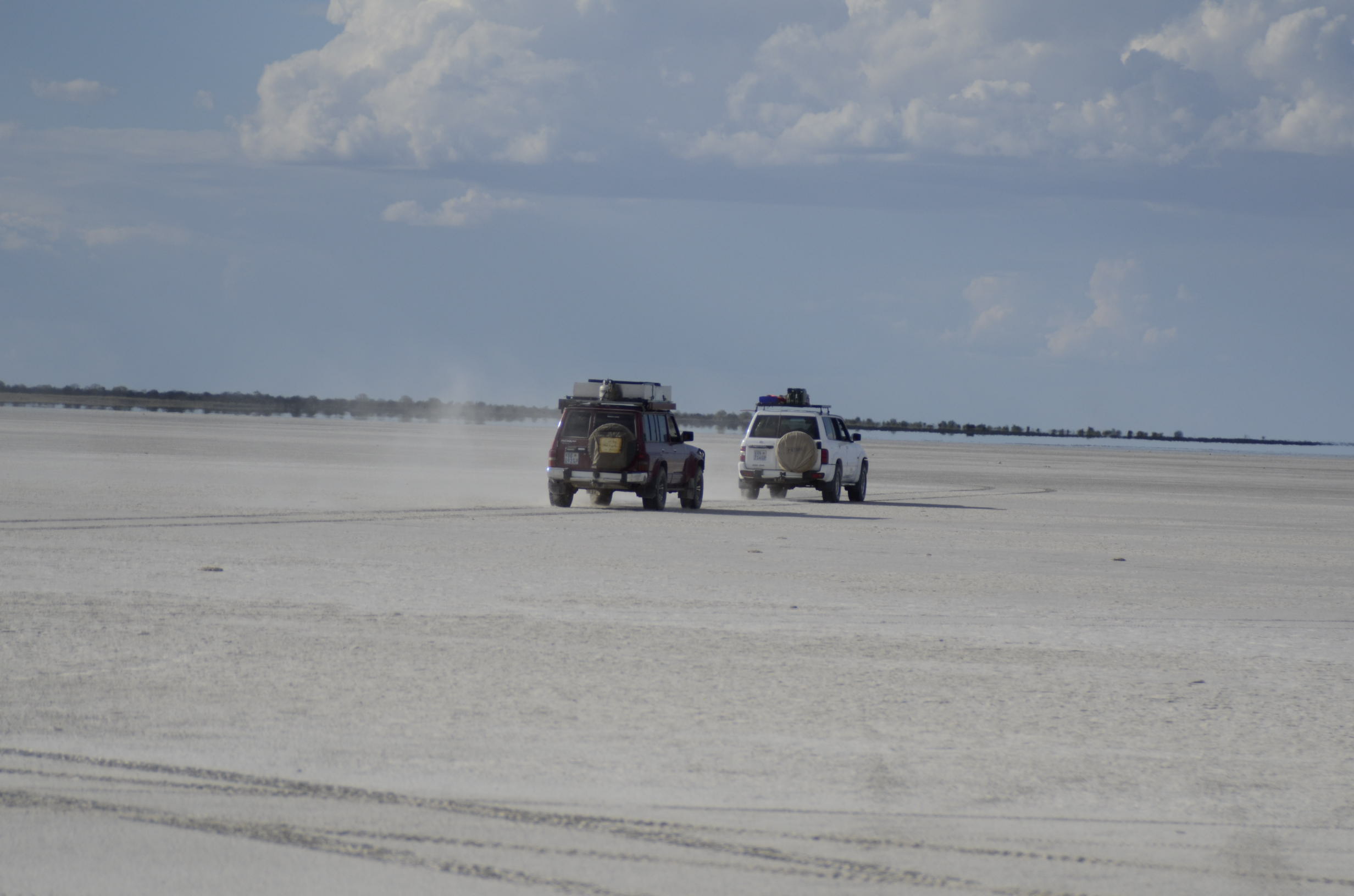 _DSC7660.jpg