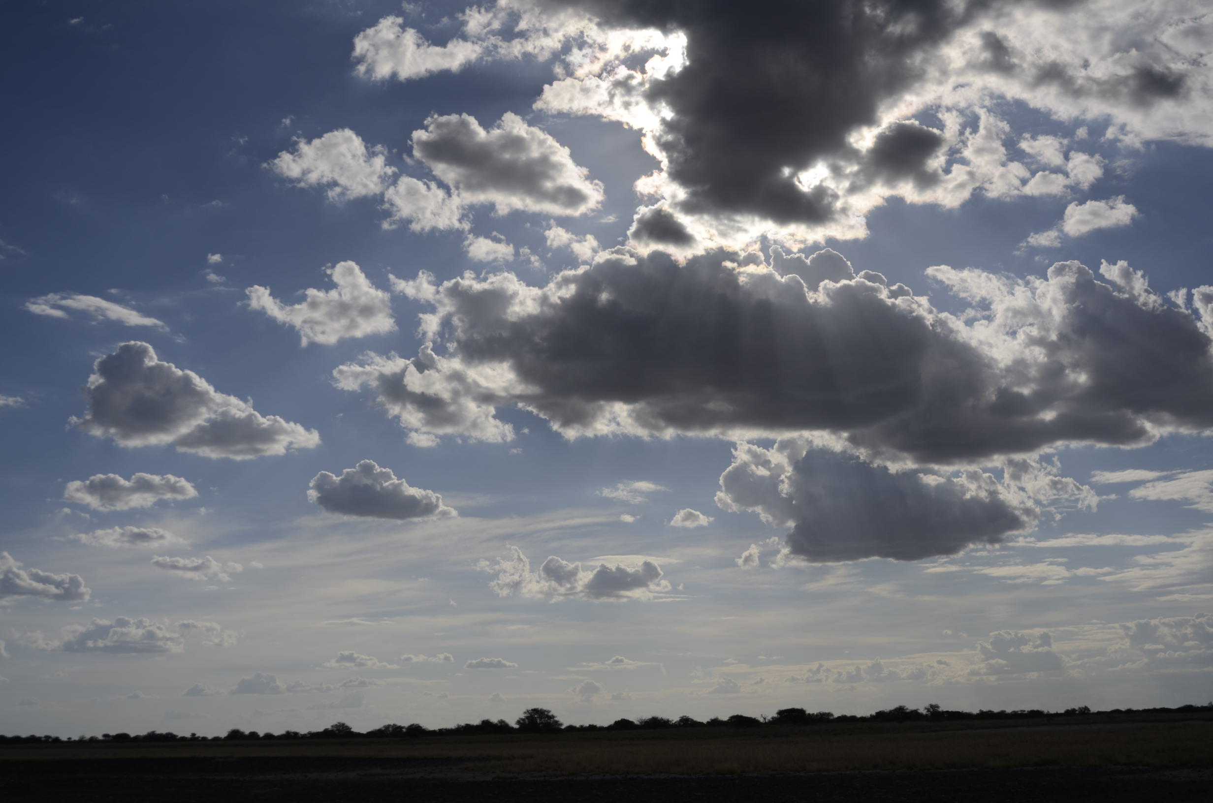 _DSC7706.jpg