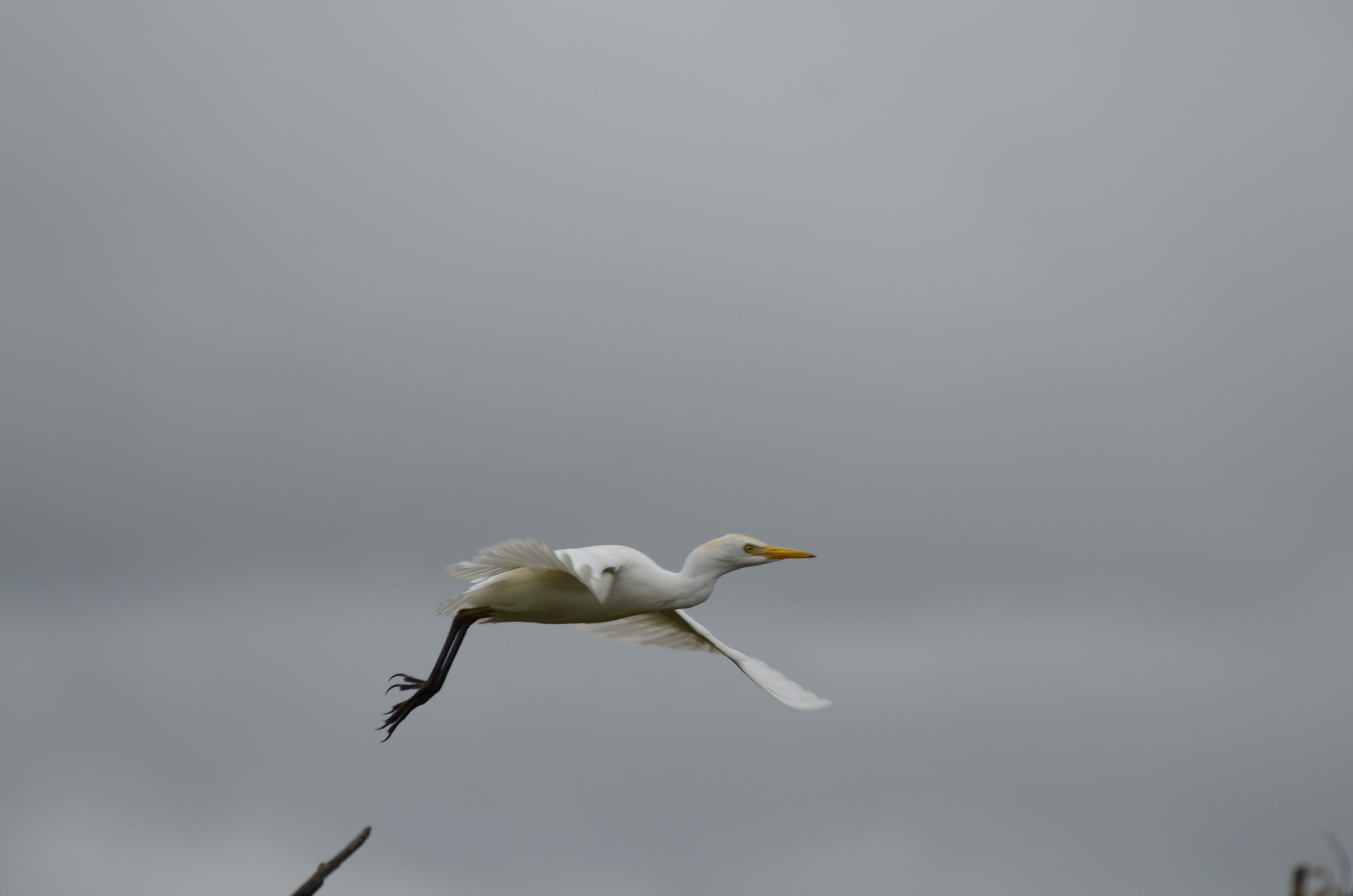 _DSC7879.jpg
